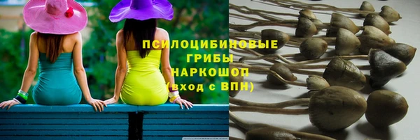 прущие грибы Балабаново