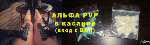 прущие грибы Балабаново