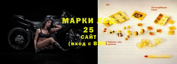 прущие грибы Балабаново