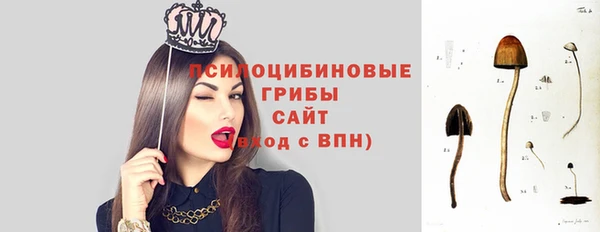прущие грибы Балабаново