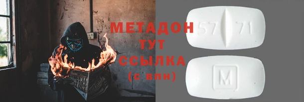 прущие грибы Балабаново