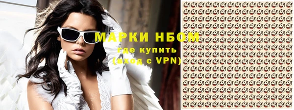 прущие грибы Балабаново