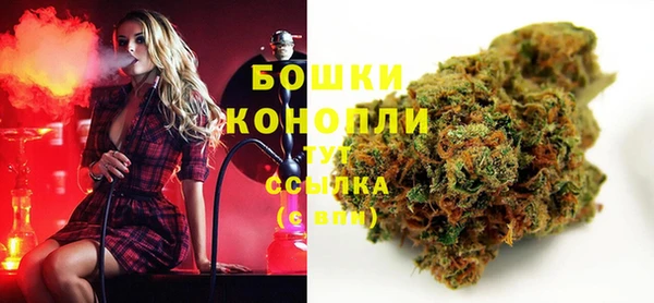 прущие грибы Балабаново