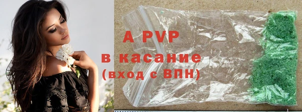 прущие грибы Балабаново