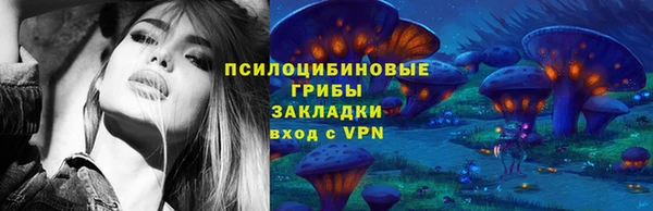 прущие грибы Балабаново
