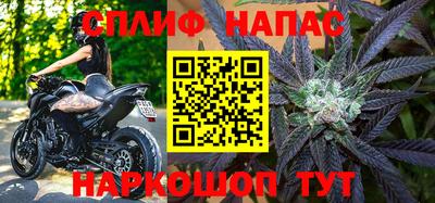 шишки Гай