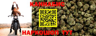 шишки Гай
