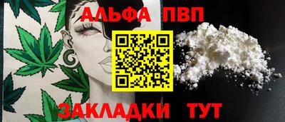 шишки Гай