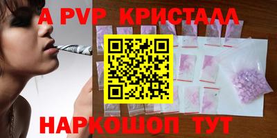 шишки Гай