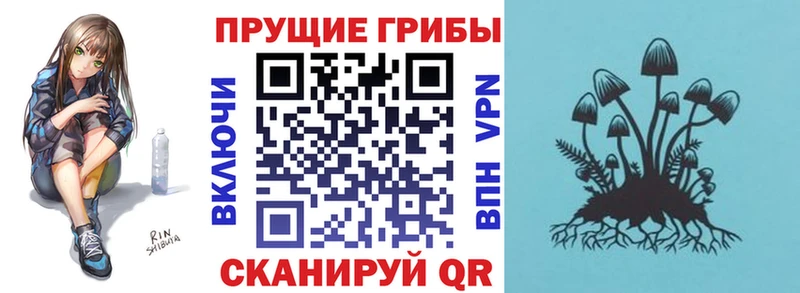 Галлюциногенные грибы Psilocybe  Воскресенск 