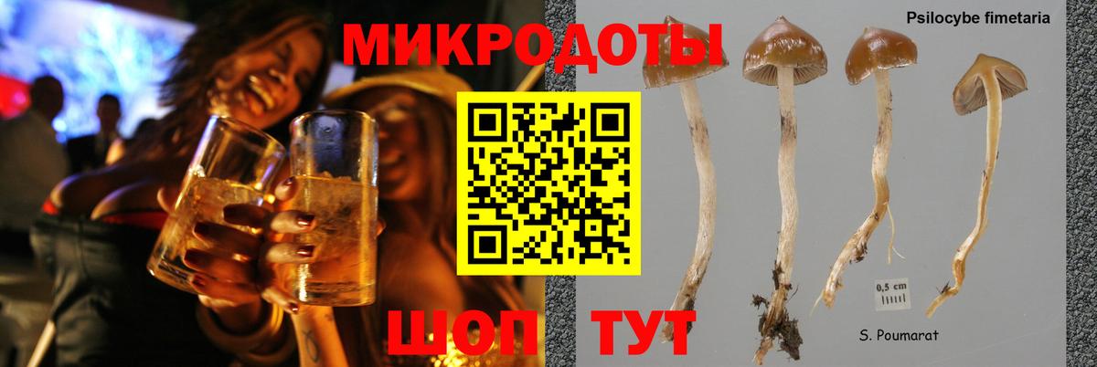 Галлюциногенные грибы GOLDEN TEACHER Воскресенск